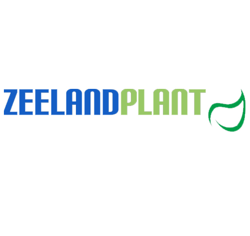 Zeelandplant